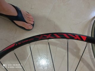 Ruedas Orbea Alma 29 aluminio