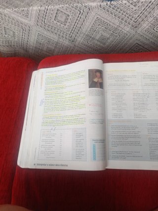 Lengua castellana y literatura