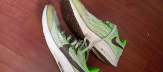 Zapatillas Nike Pegasus Mujer Talla 38
