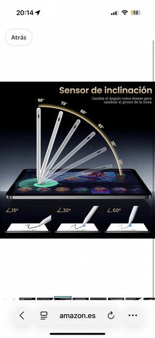 Stylus per iPad con punte