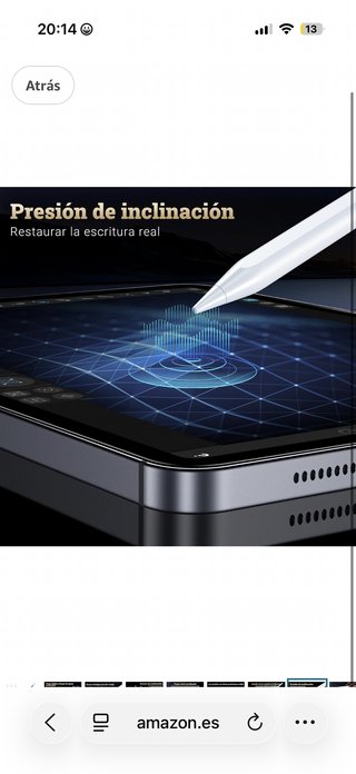 Stylus per iPad con punte