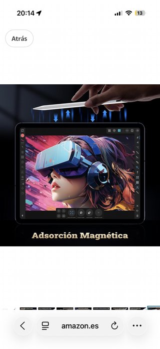 Stylus per iPad con punte