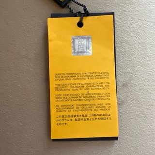 Fendi Cover Mini iPad FF