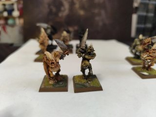 Warhammer 6°edicion portadores de la plaga