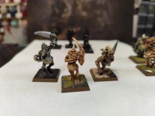Warhammer 6°edicion portadores de la plaga