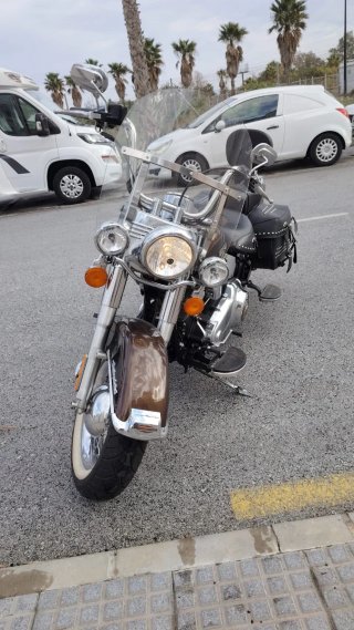 Harley Davidson Heritage Softail 110 Aniversario