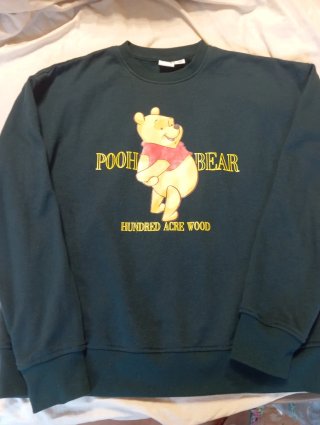 Lote 6 sudaderas ( 1 de ellasRipcurl y 1 Ewan).