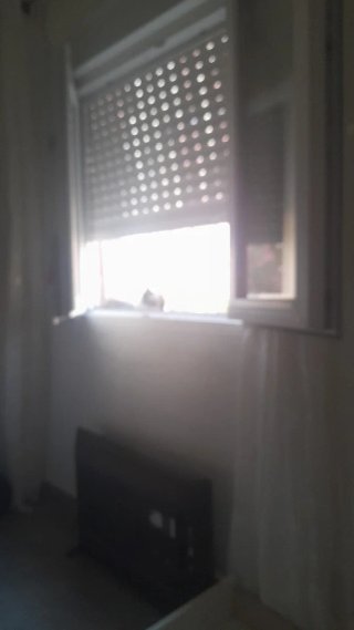 Busvo piso
