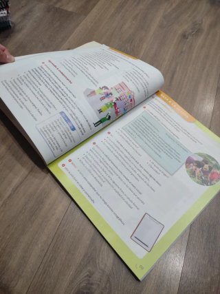 Lengua Castellana, 4 Primaria, Serie Acentos, P...