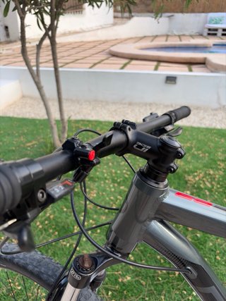 Bicicleta de Montaña Deed Flame 295 (Rueda 29" TM)