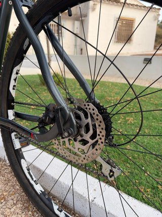 Bicicleta de Montaña Deed Flame 295 (Rueda 29" TM)