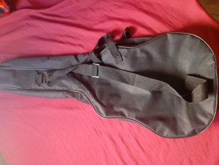 Funda para Ronroco