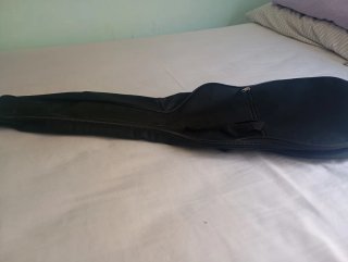 Funda para Ronroco