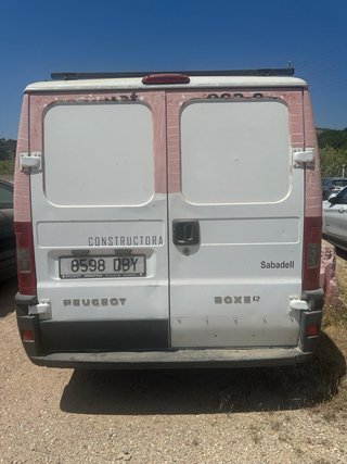 Pegeot boxer