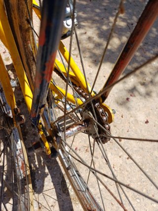 Bicicleta BH Clásica Amarilla