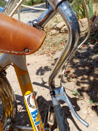 Bicicleta BH Clásica Amarilla