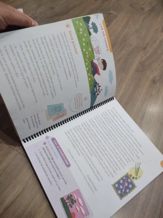 Lengua Castellana, 2 Primaria, Serie Acentos, P...
