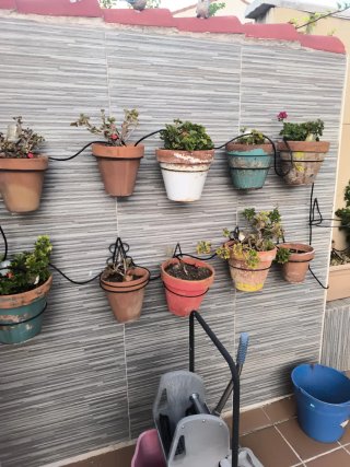 Lote de maceta planta y soporte.