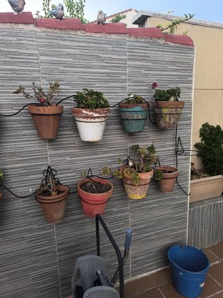 Lote de maceta planta y soporte.