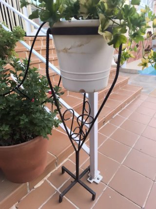 Planta Maceta soporte