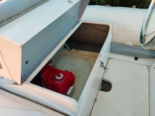 Semirrígida 4,3m 40cv