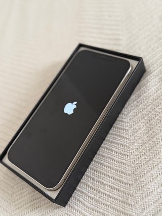 iPhone 12 Pro Max Argento