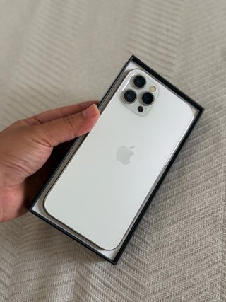 iPhone 12 Pro Max Argento