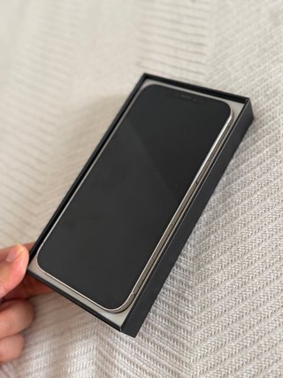 iPhone 12 Pro Max Argento