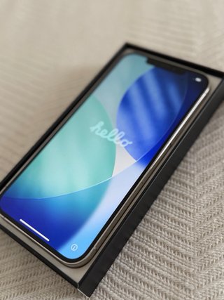 iPhone 12 Pro Max Argento