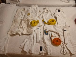 Varios kimonos de Judo y cinturones