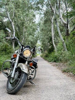 Yamaha dragstar xvs 1100 CLASSIC