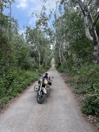 Yamaha dragstar xvs 1100 CLASSIC