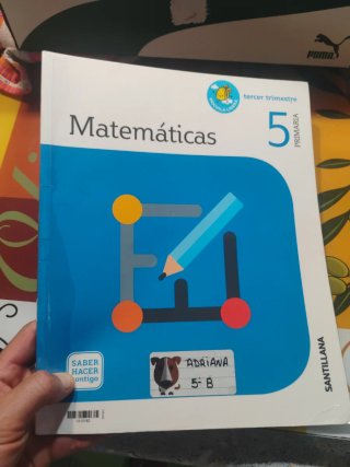 Matemáticas, 5 Primaria Saber Hacer Contigo