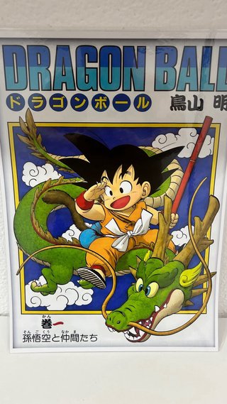Póster Dragon Ball Manga 1 Plastificado