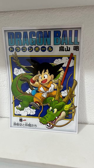 Póster Dragon Ball Manga 1 Plastificado