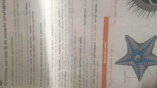 Biología, Geología y Ciencias Ambientales 1 Bac...