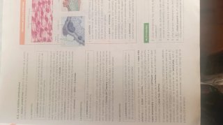 Biología, Geología y Ciencias Ambientales 1 Bac...