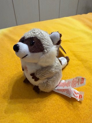 Peluche Procione Trudi