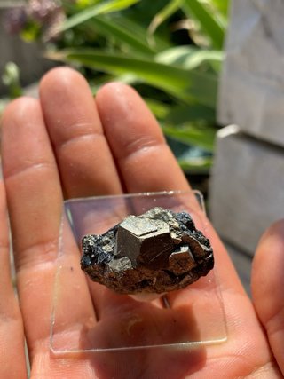 Pirite minerale grezzo
