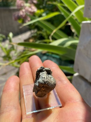 Pirite minerale grezzo