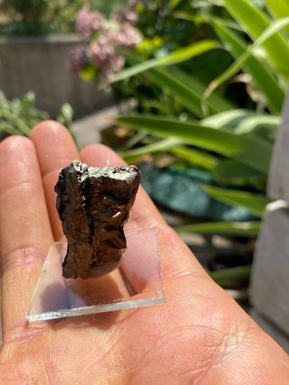 Pirite minerale grezzo