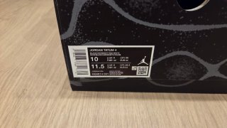 Jordan Tatum 4 Bloodline Talla 44