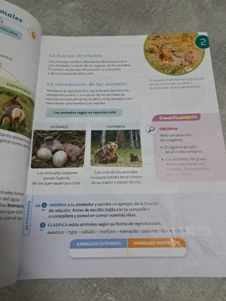 Conocimiento del medio, 3 Primaria