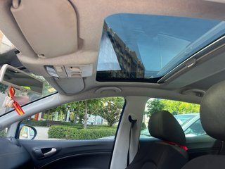 SEAT Ibiza 1.9 TDI 5 puertas Sport (2009)