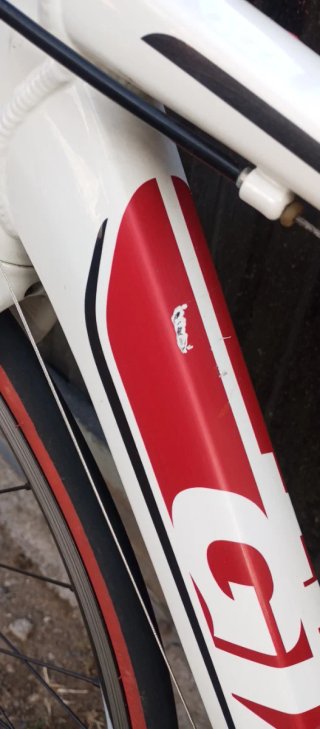 Bicicleta Giant Defy Blanca y Roja