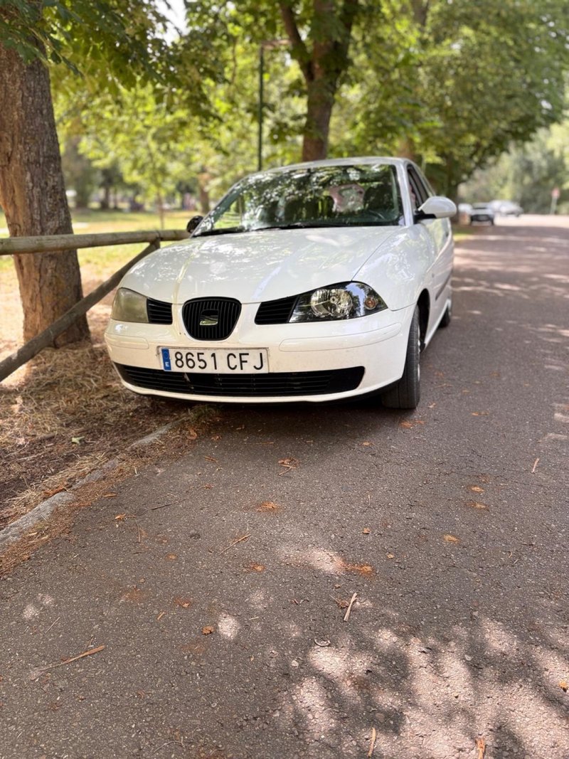 SEAT Ibiza 2002 - foto 1