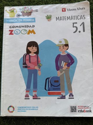 Matemáticas, 5 Educación Primaria, Comunidad Zoom