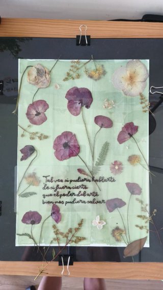 Lámina decorativa cianotipia botánica