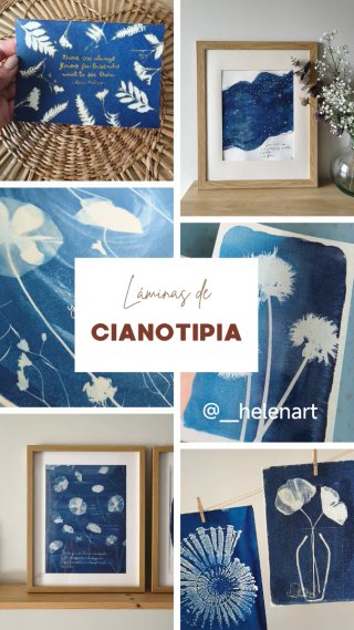 Lámina decorativa cianotipia botánica
