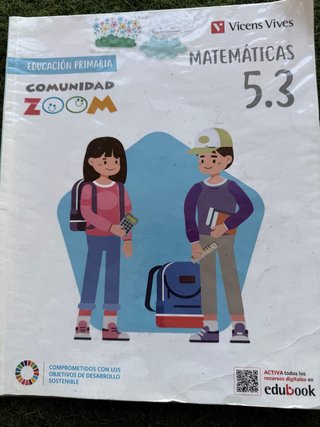 Matemáticas, 5 Educación Primaria, Comunidad Zoom